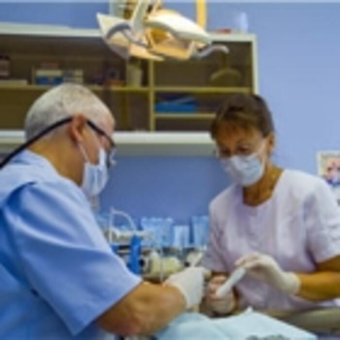 Images Clinique Dentaire Pion et Dupéré