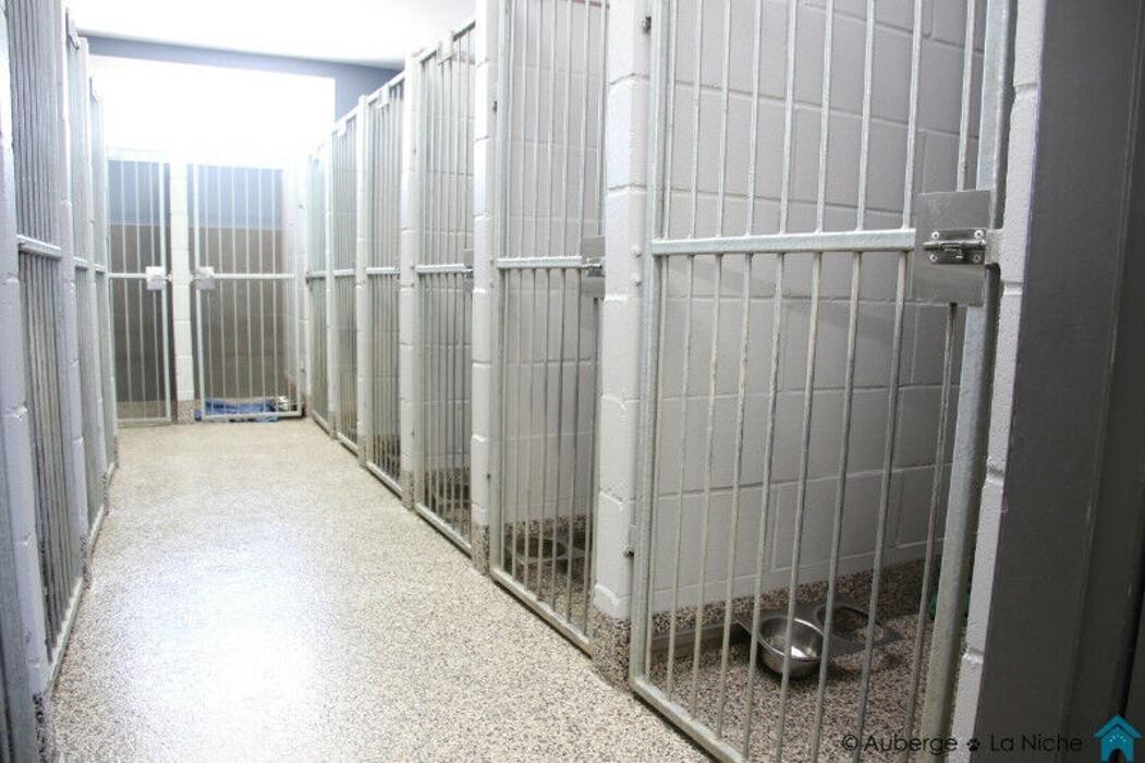 Images Auberge La Niche - Pension Canine de l'Estrie