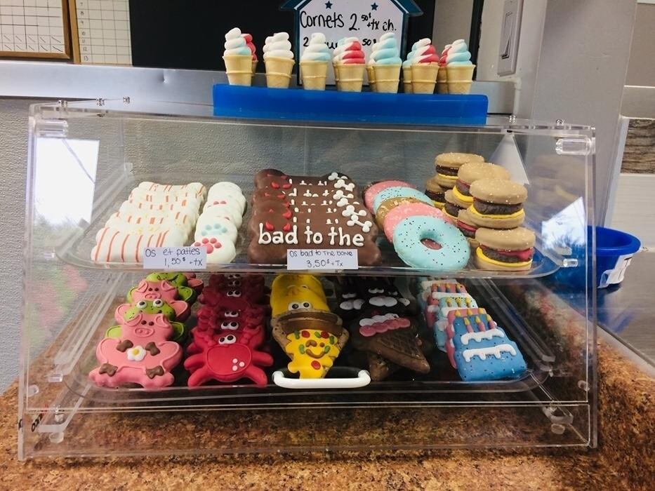 Images Auberge La Niche - Pension Canine de l'Estrie