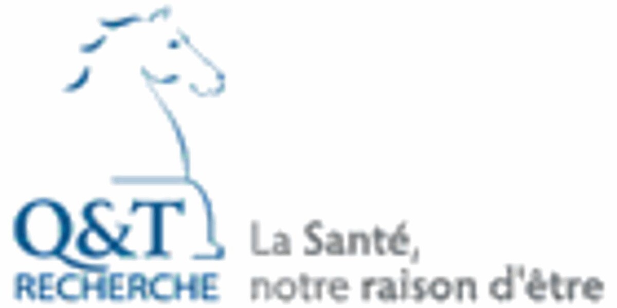 Q & T Recherche Logo