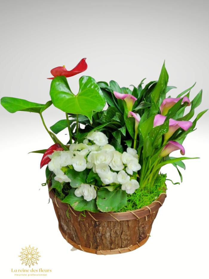 Images Fleuriste Reine De Fleurs