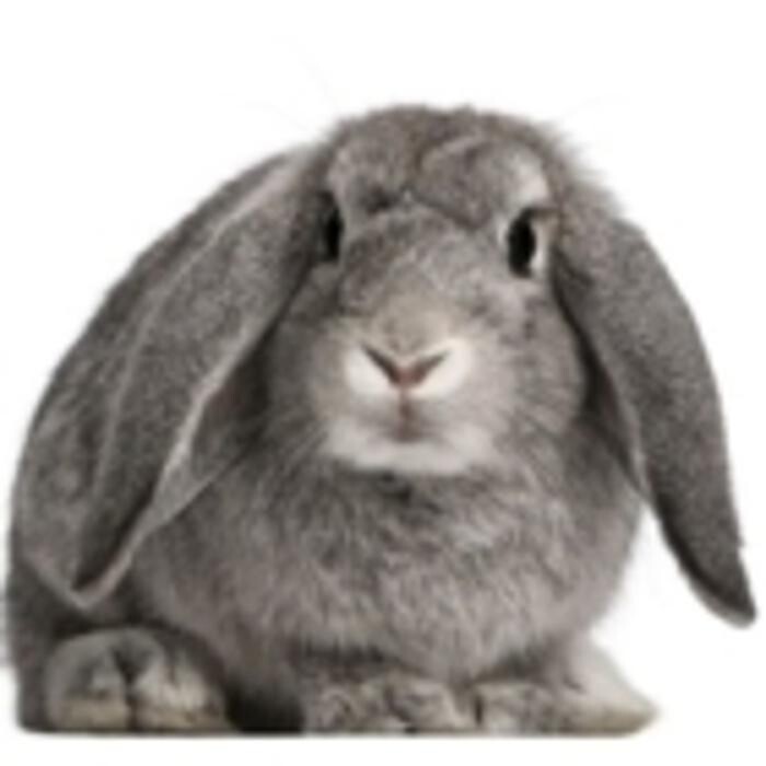 Images Valley Veterinary Clinic (Drumheller)