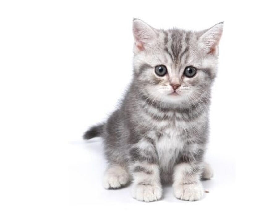 Images Valley Veterinary Clinic (Drumheller)