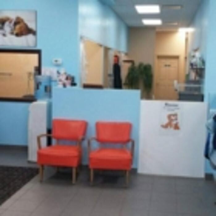 Images Salon Lavodog Inc