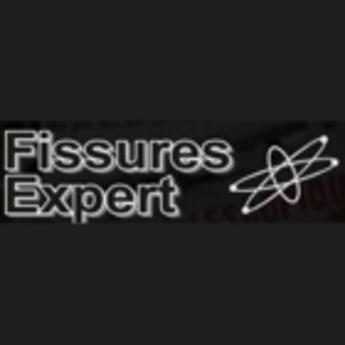 Fissures Expert Inc Logo