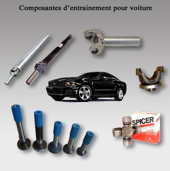 Images Arbre de Commande Rive-Sud (Driving Shaft)