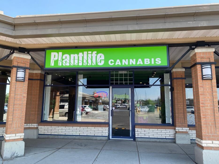 Images Plantlife Cannabis Shawnessy Calgary