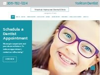 Website Screenshot Trischuk Haimanot Dental Clinic