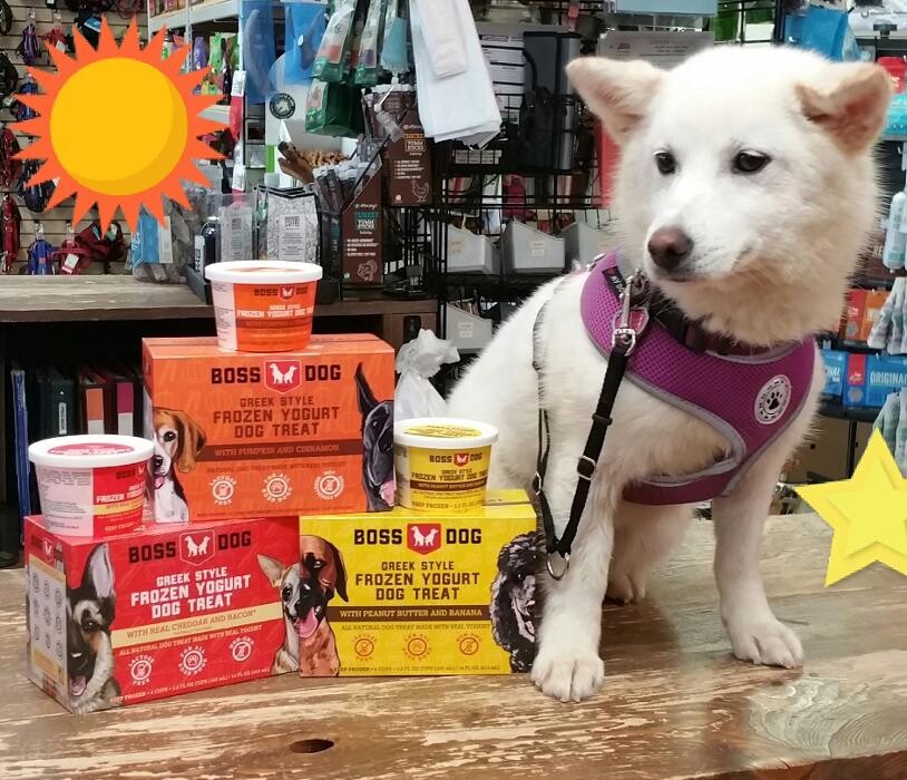 Images March Road Pet Food & Supplies