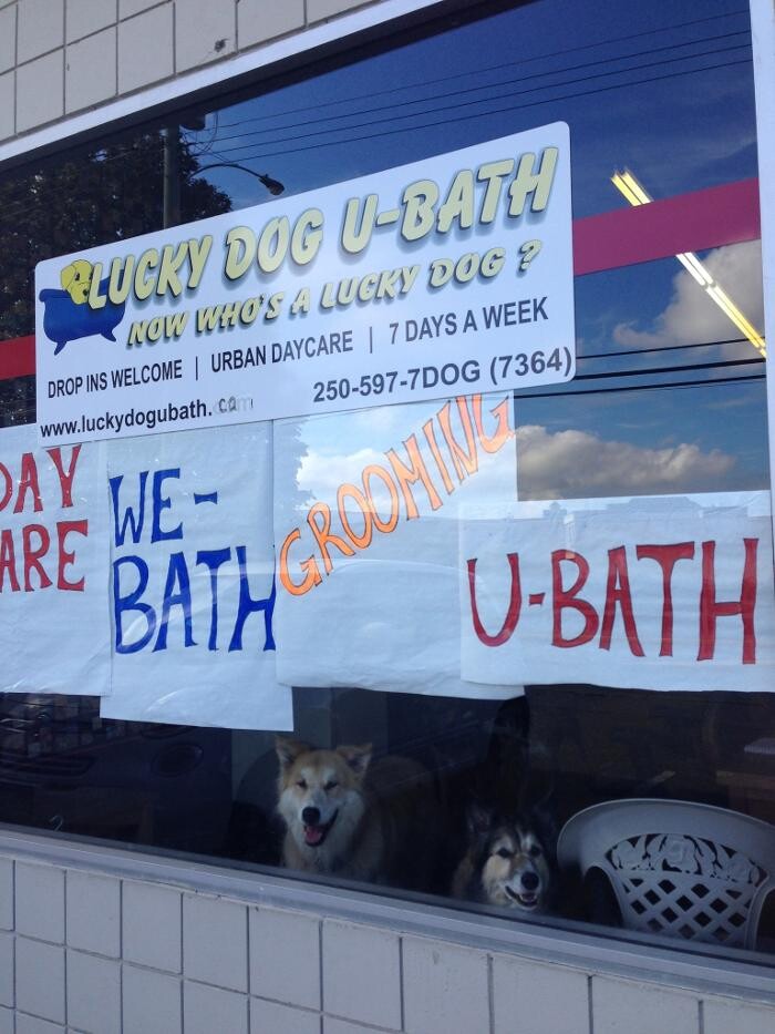 Images Lucky Dog U-Bath