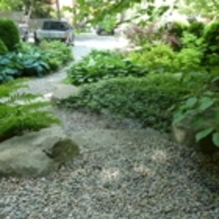 Images Bloom Garden Design