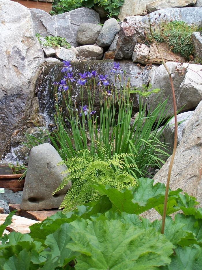 Images Bloom Garden Design