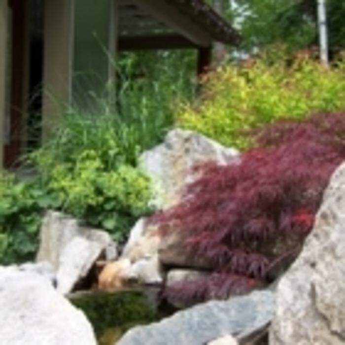Images Bloom Garden Design