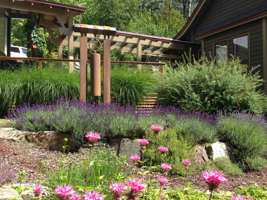 Images Bloom Garden Design