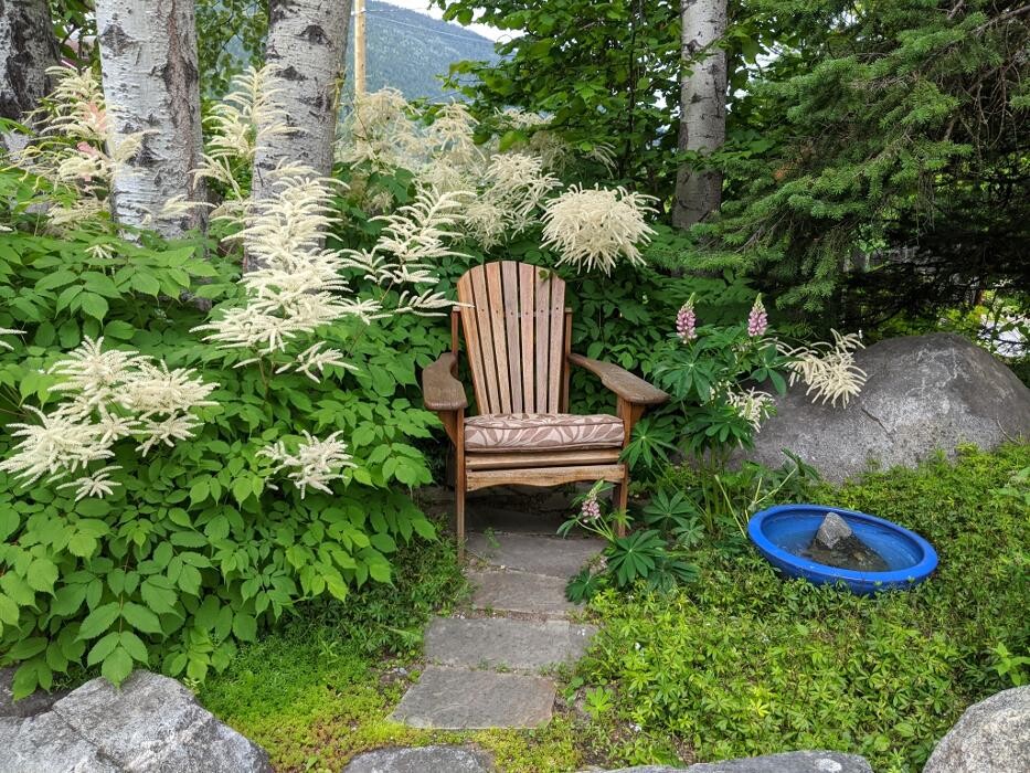 Images Bloom Garden Design