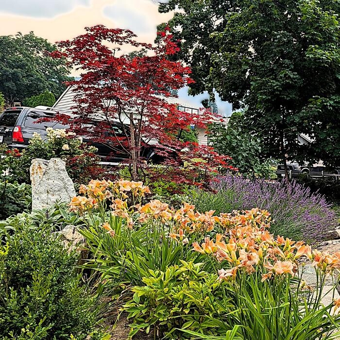 Images Bloom Garden Design