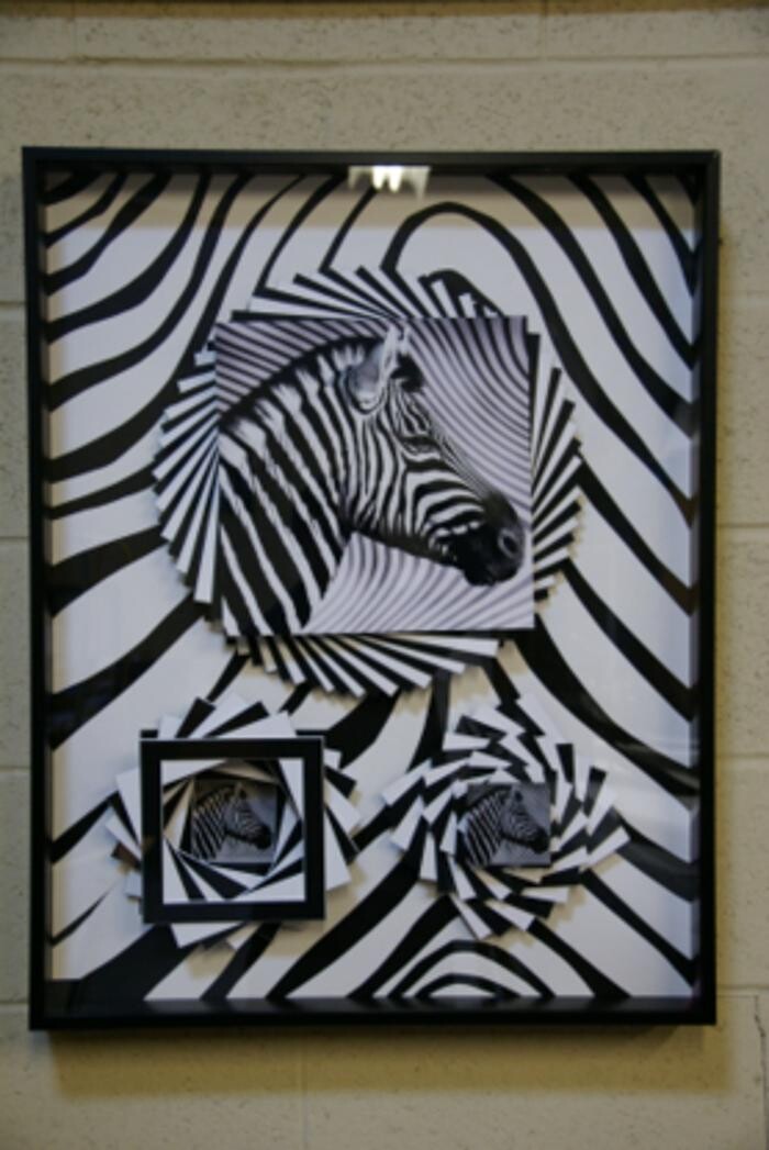 Images Bordered Image