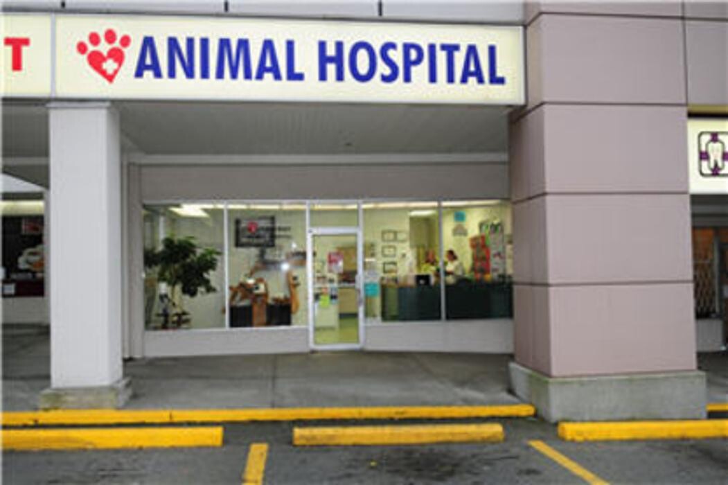 Images North Road Animal Hospital