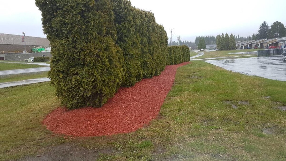 Images Malt Ventures