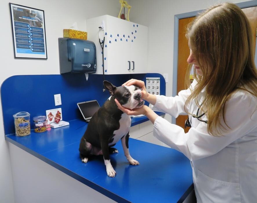 Images Selkirk Animal Hospital