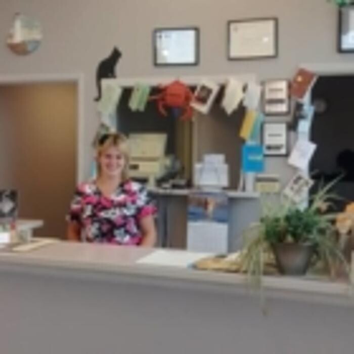 Images Manning Road Animal Hospital