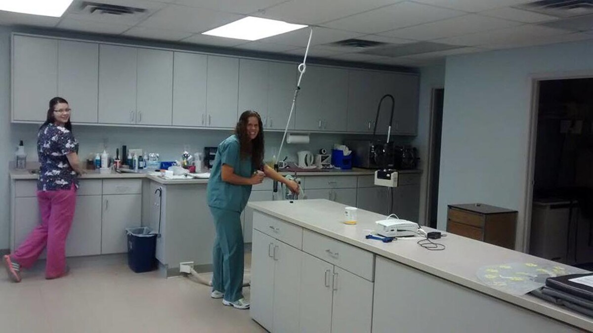 Images Manning Road Animal Hospital