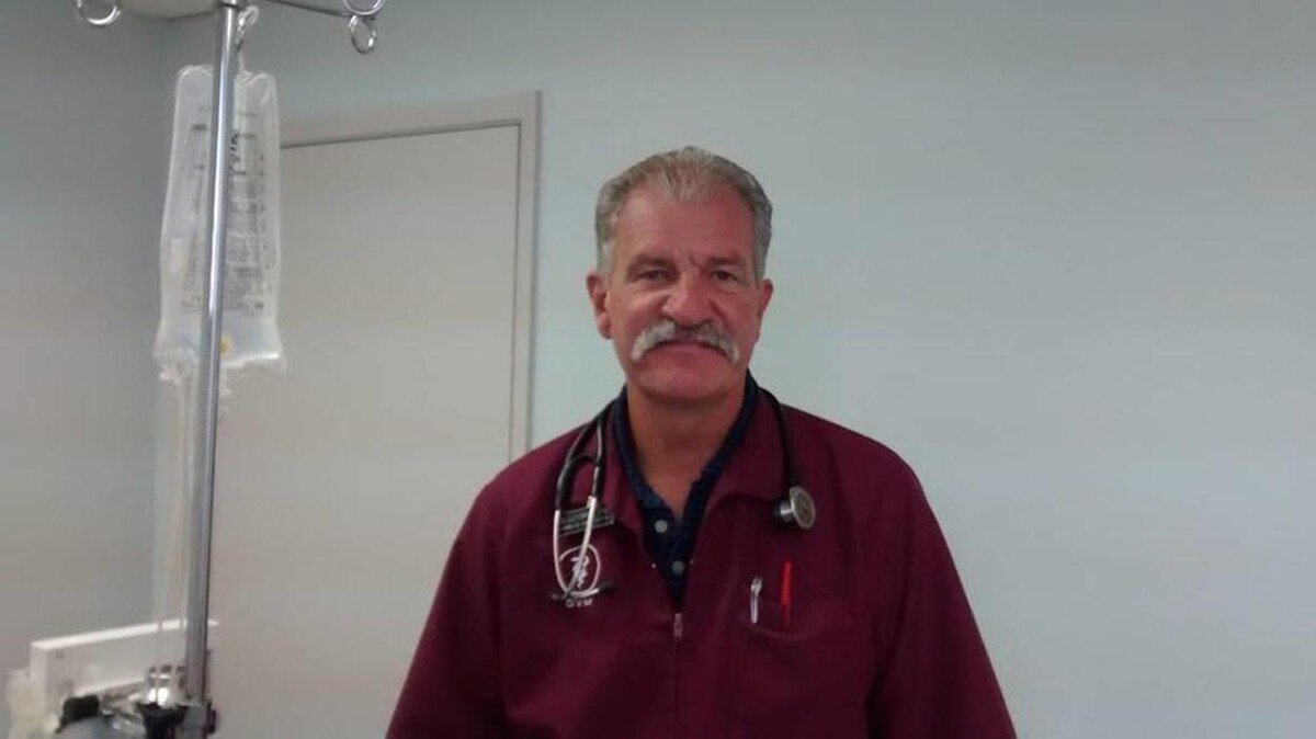 Images Manning Road Animal Hospital