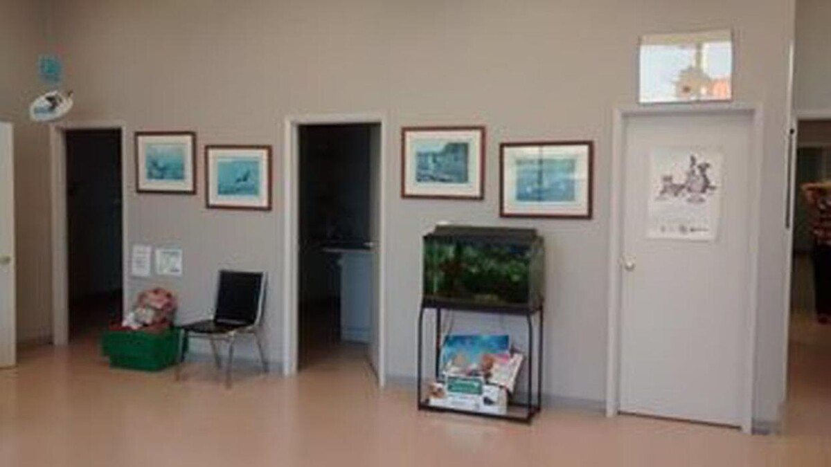 Images Manning Road Animal Hospital