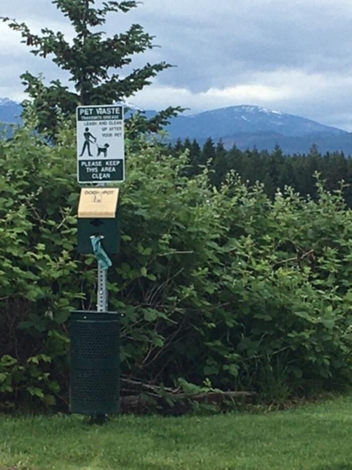 Images Dogwood Veterinary Hospital Ltd