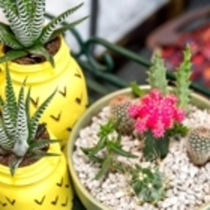 Images La Belle Fleur Floral Boutique Ltd