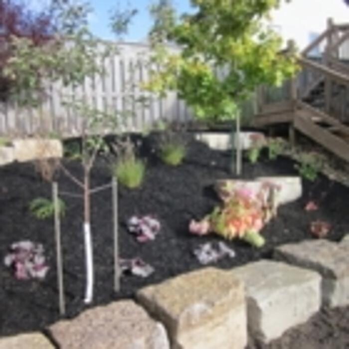 Images Burch Landscape Services