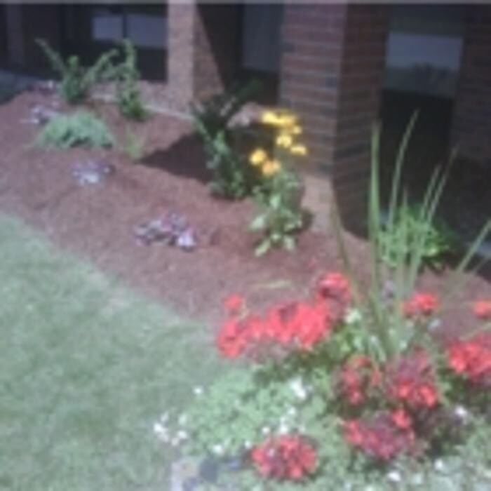 Images Burch Landscape Services