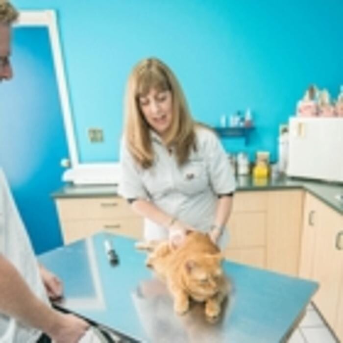 Images Royal Oak Pet Clinic