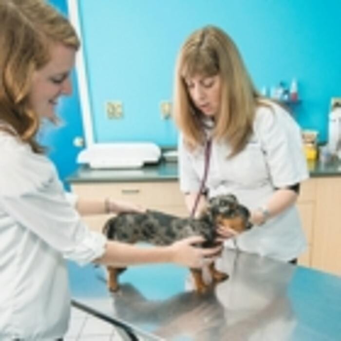 Images Royal Oak Pet Clinic