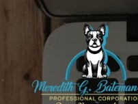 Website Screenshot Meredith G Bateman Law Office Professional Corporation