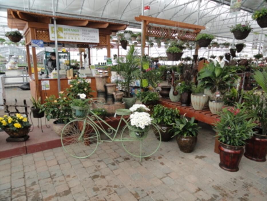 Images Serres Côme Richer