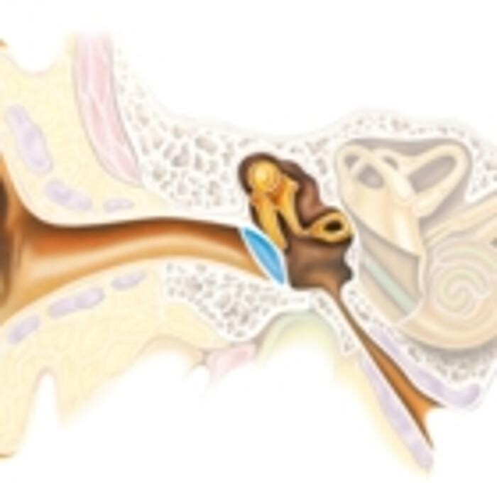 Images Prosound Hearing Services