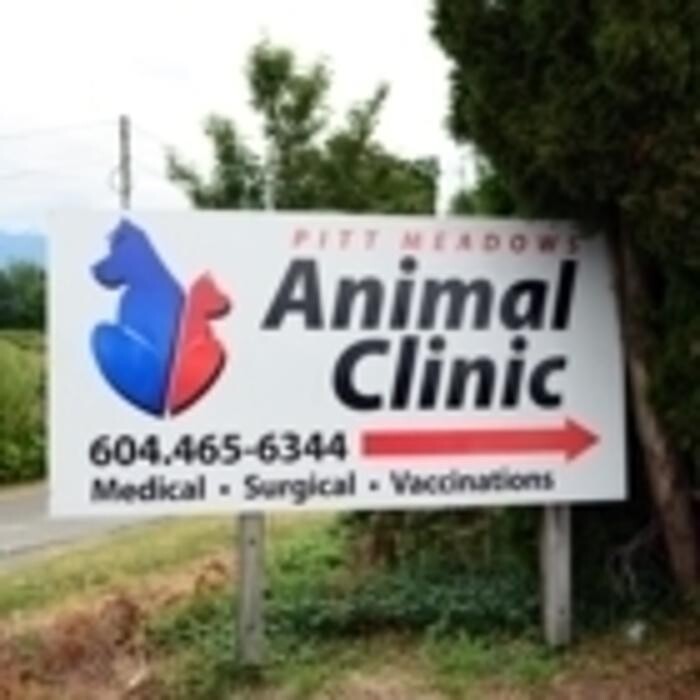 Images Pitt Meadows Animal Clinic Ltd