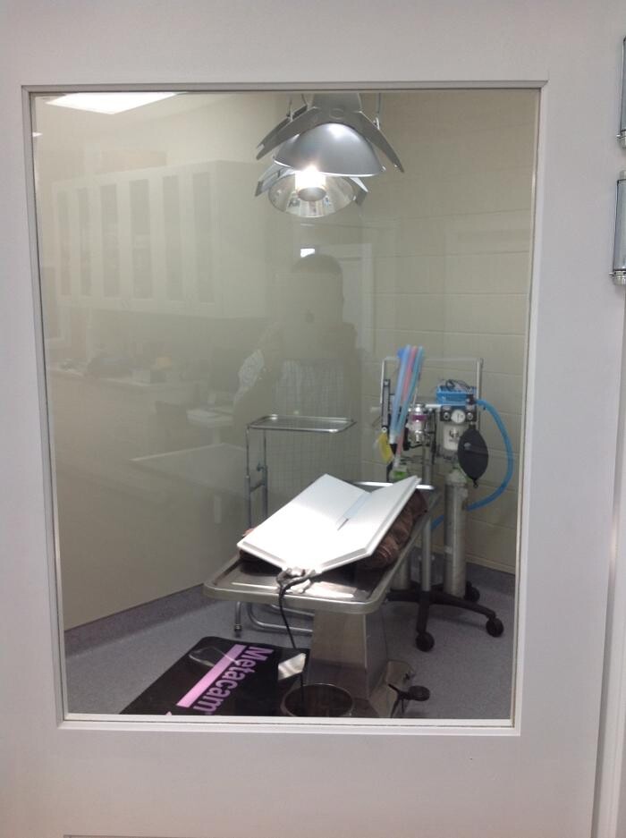 Images Oriole Road Animal Hospital