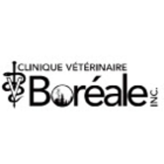 Images Clinique vétérinaire Boréale inc