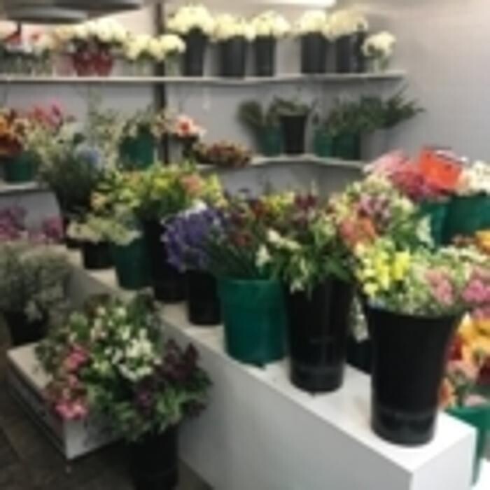 Images McKean's Flowers