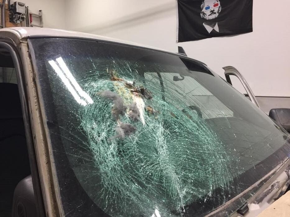 Images Tradewinds Glass Inc