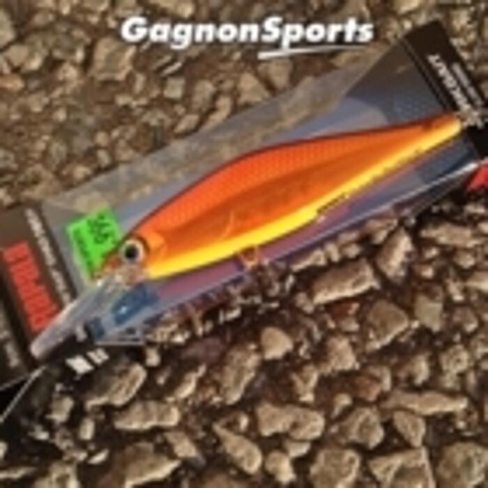 Images Gagnon Sports