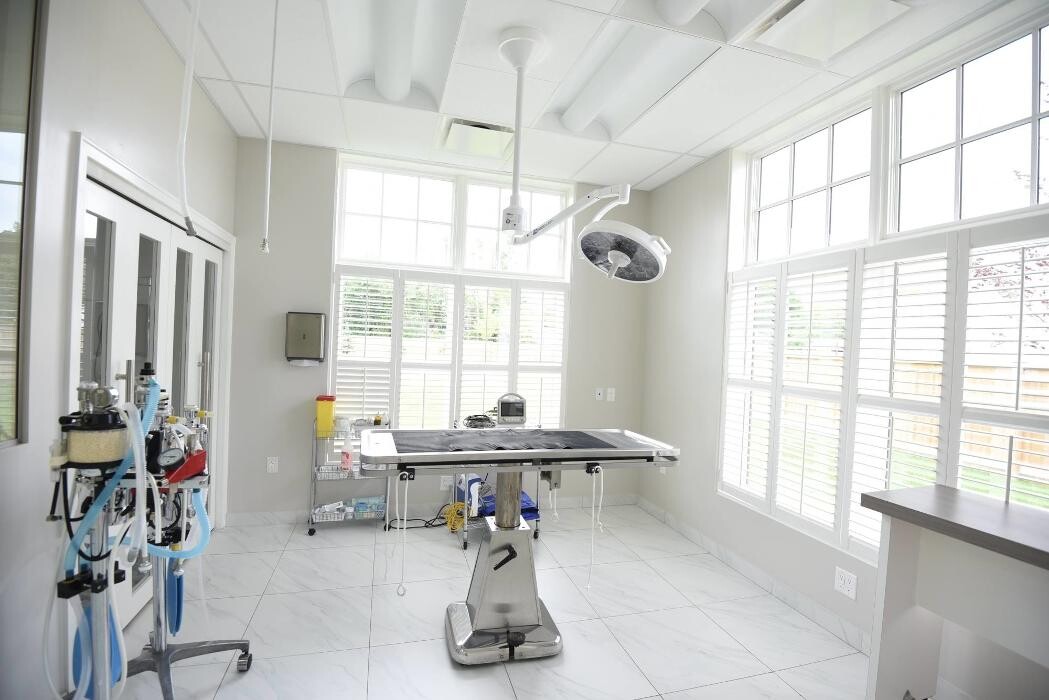 Images Callbeck Animal Hospital