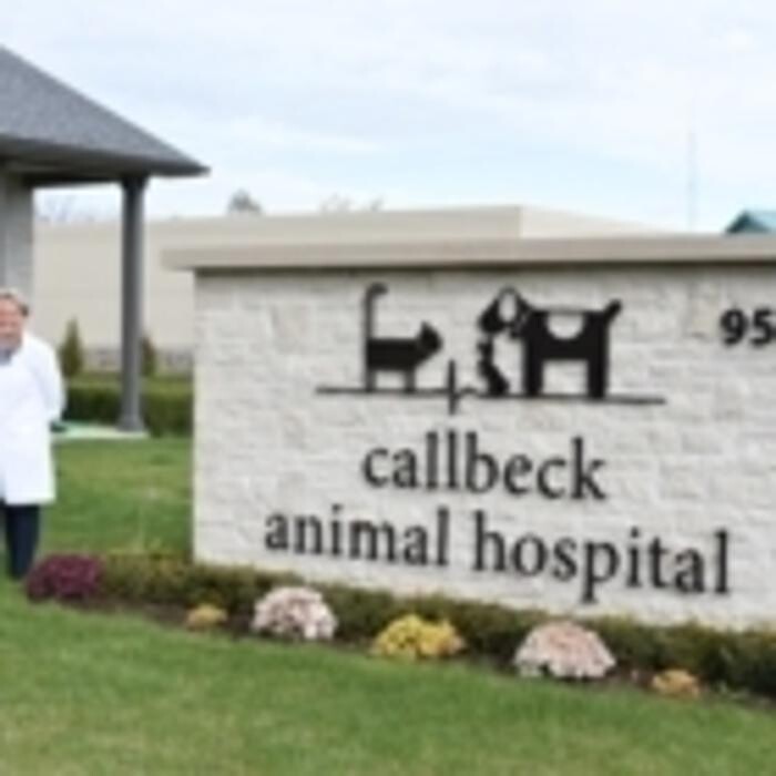 Images Callbeck Animal Hospital