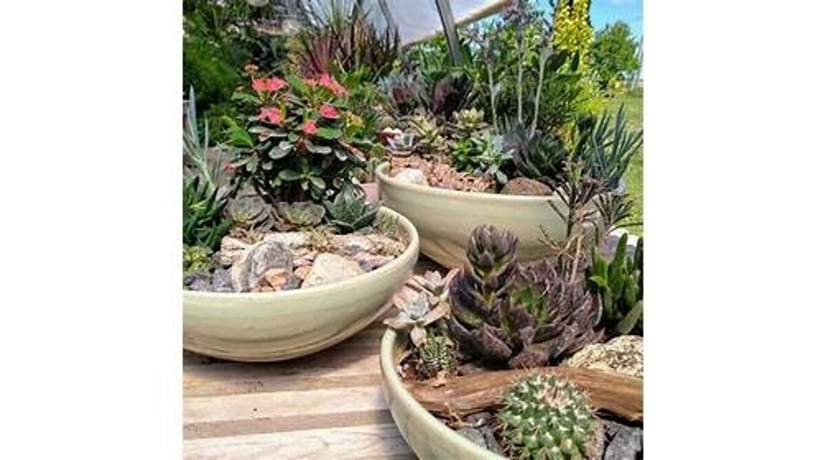 Images LittleTree Garden Market