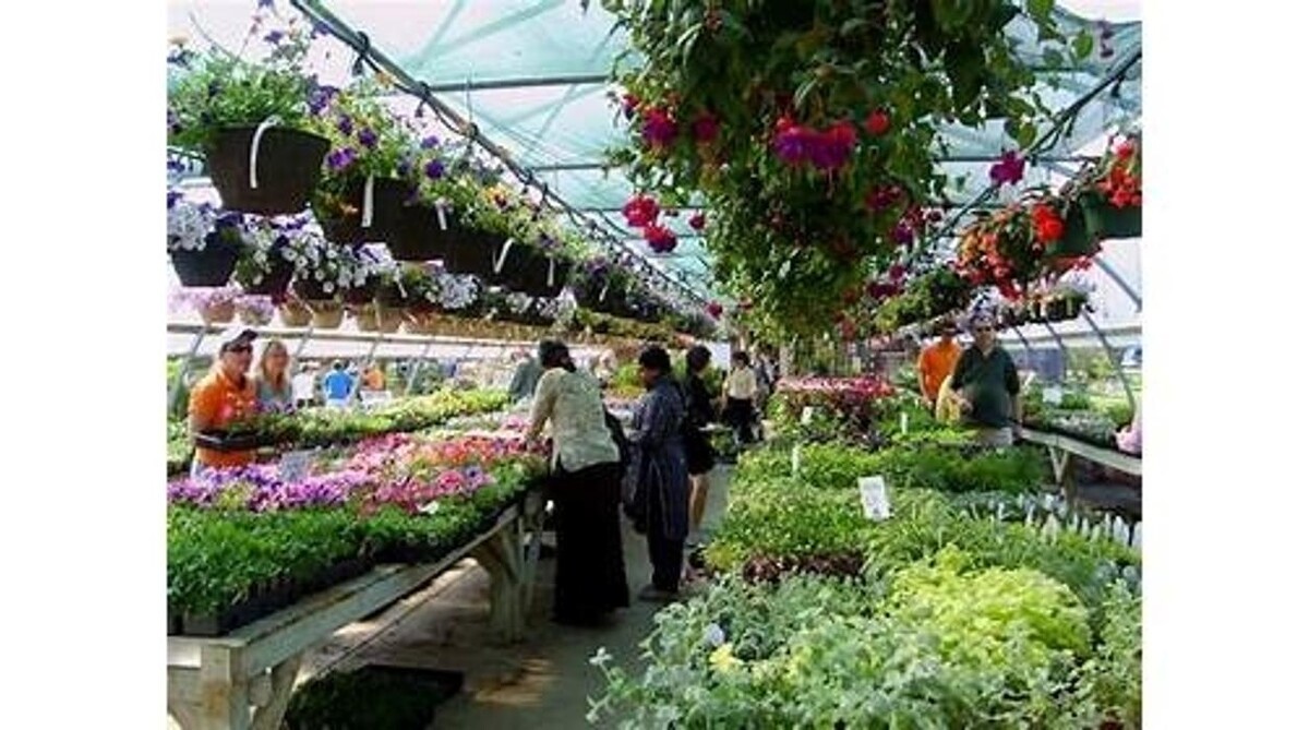 Images LittleTree Garden Market
