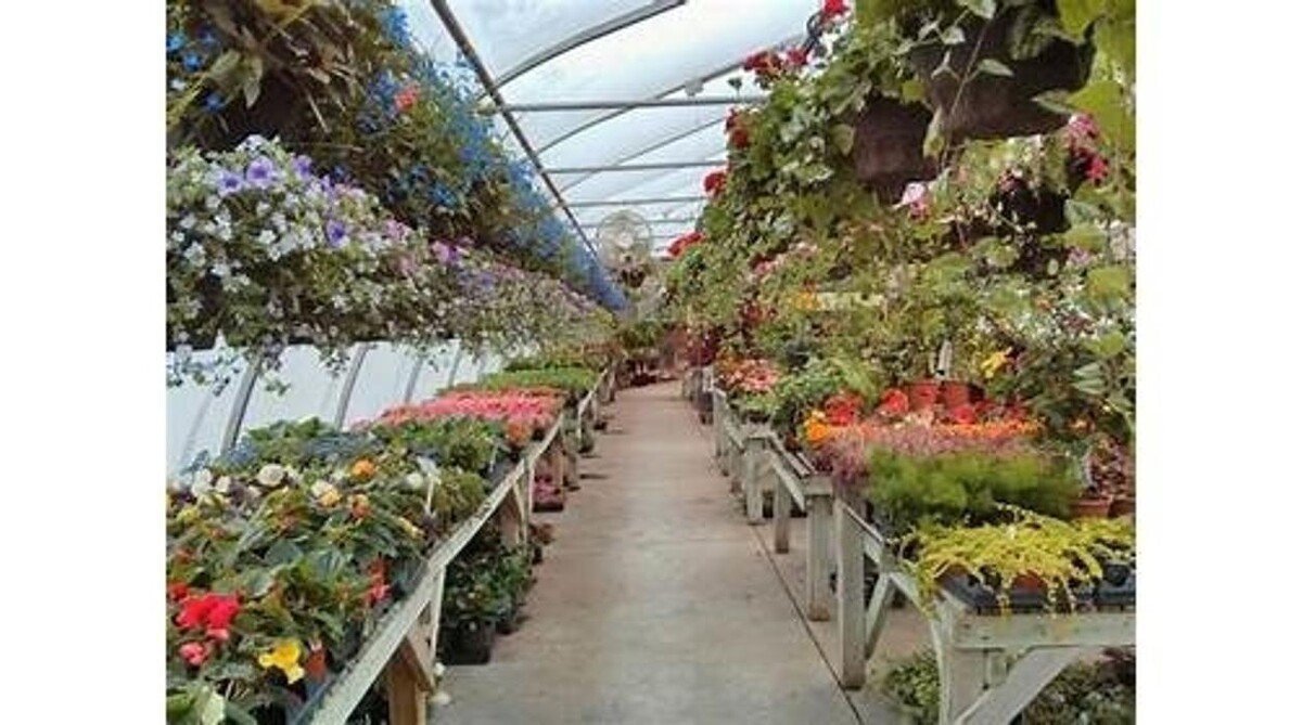 Images LittleTree Garden Market