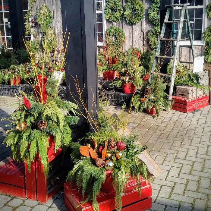 Images LittleTree Garden Market