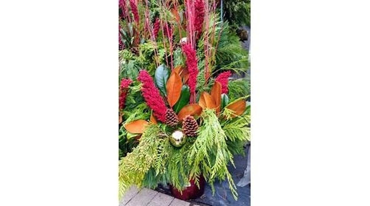 Images LittleTree Garden Market